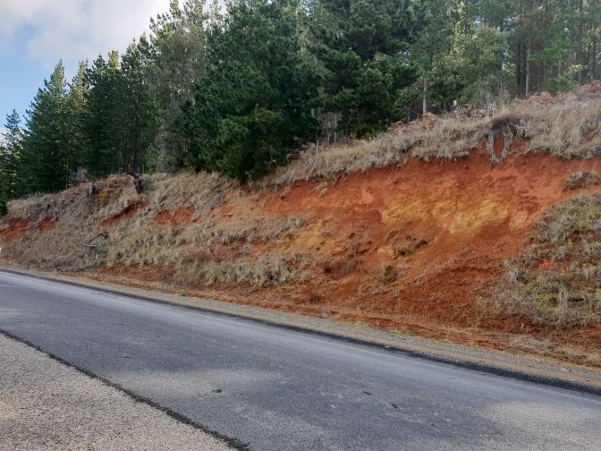 38014730_2082843661978982_765185661148856320_n